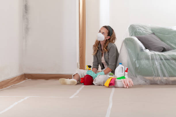 Reliable Commercial Mold Remediation contractor in Cofield, NC by WQB Mold Removal